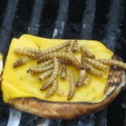 professional gangstalker