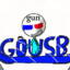 gousb