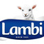 Lambi