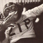 Snakeez - steam id 76561198119780675