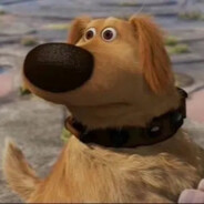 DPG slowraa