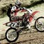 Molu_16