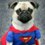 zezin frug frug