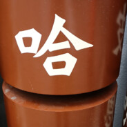 被隔壁奶奶爆锤