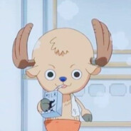 Seu amiguinho N1ght :)