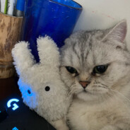 Barra avatar