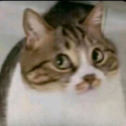 重生之小扇的复仇计划