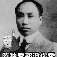 国服第一秀陈独