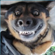 你会打有个屁用啊