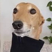 оооОоо0оооо