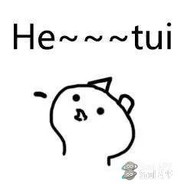 电脑玩家爱新觉罗