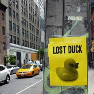 L0stDuck (Numera cyborg)