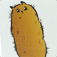 Hairy Potatoe Cat