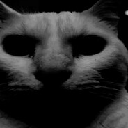 Donung avatar