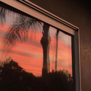 都是懂哥但没人懂哥