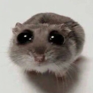 CookieMonster XD