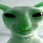 Зеленый Шишкарь