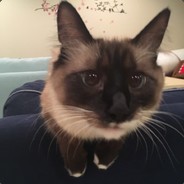 幼稚园长腿Miya酱