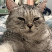 一个极其聪明的中锋