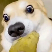 개