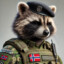 Sergeant Racoon