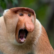 Нюхай Ноги!