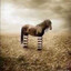mów mi horse #aura