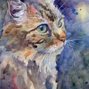 好 戰 貓 咪 K333