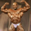 Ronnie Coleman G4Skins