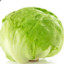 a head of lettuce