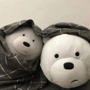 那天雪下的很大