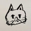 n6odle