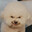 toesucker62's Avatar
