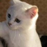 Terak_seven - steam id 76561197970959400