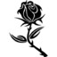 Black Rose