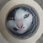 شيء باللغة العربي