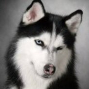 青青草原干饭人懒羊羊