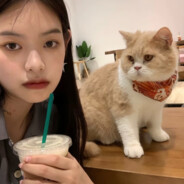 可常青树不长情