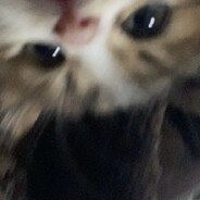 Surprise