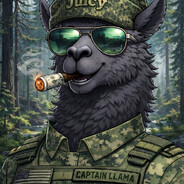 Captain Llama
