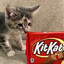 (KitKat)
