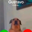 Avatar of player Gustavo