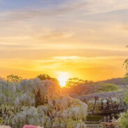 宇宙无敌最最帅