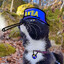 na&#039;vi Goose