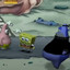 the penguins