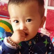 看个灰机在看把你吃掉