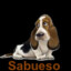 Sabueso