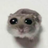 悲伤鼠鼠偷偷博启