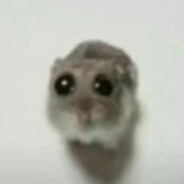 世一预瞄——番茄