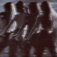 科切拉晚风下的野玫瑰